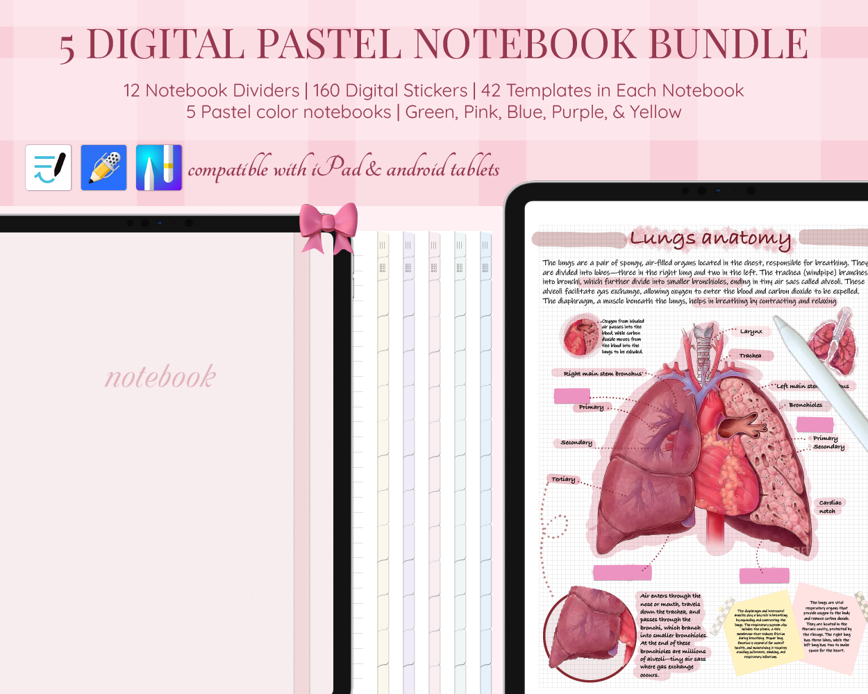 Pastel Digital Notebooks Bundle