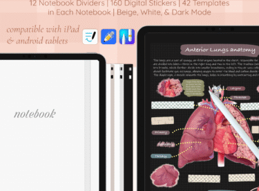 3 digital notebook bundle
