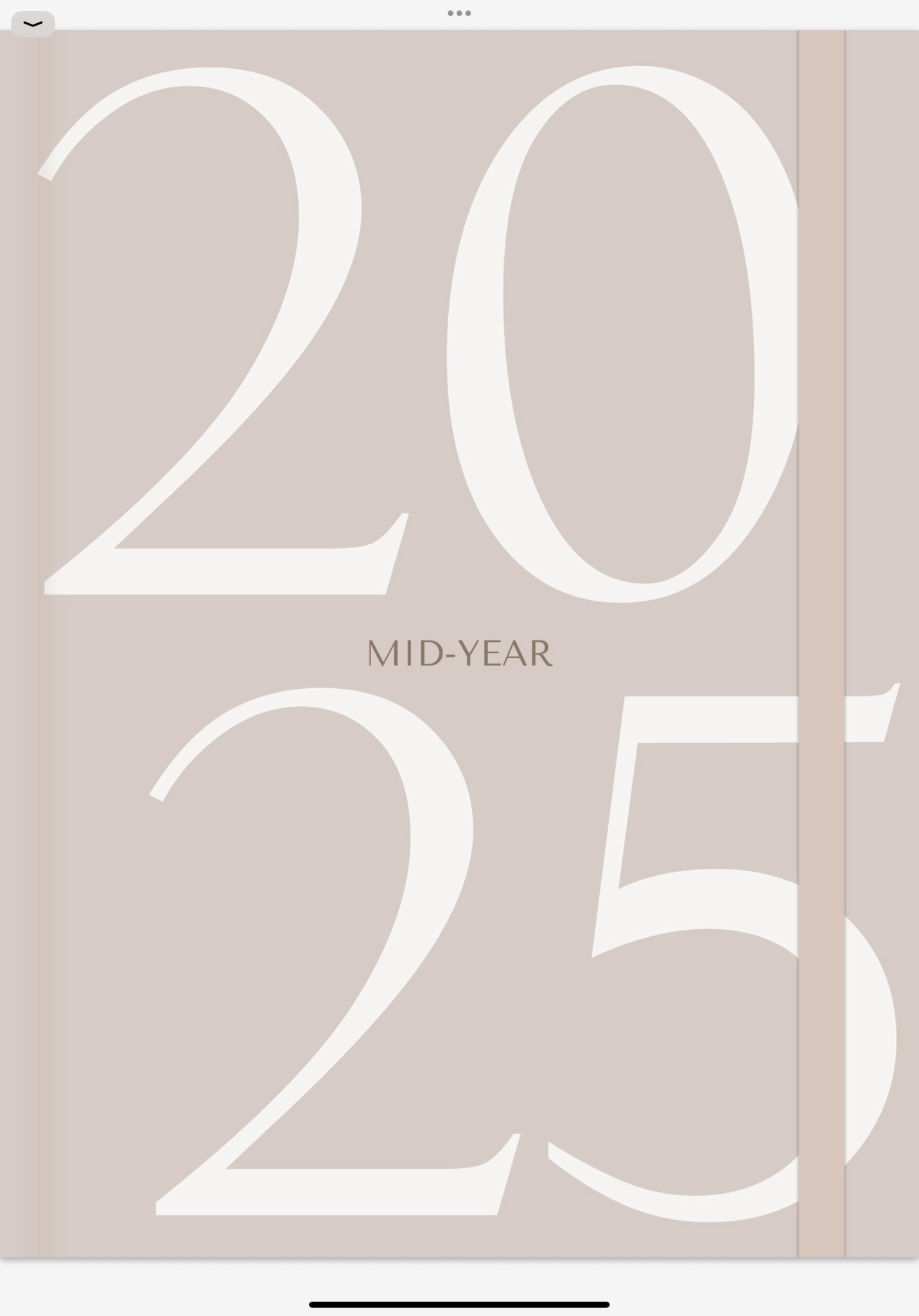 mid year digital planner