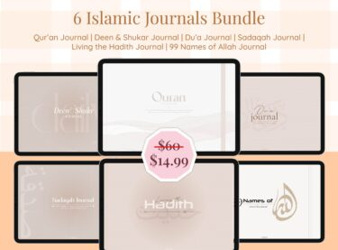 bundle of 6 digital islamic journals