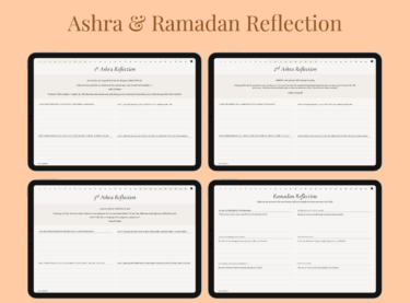 Ashra Reflection pages